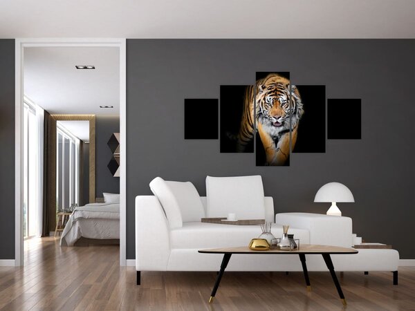 Obraz - Tygr (125x70 cm)