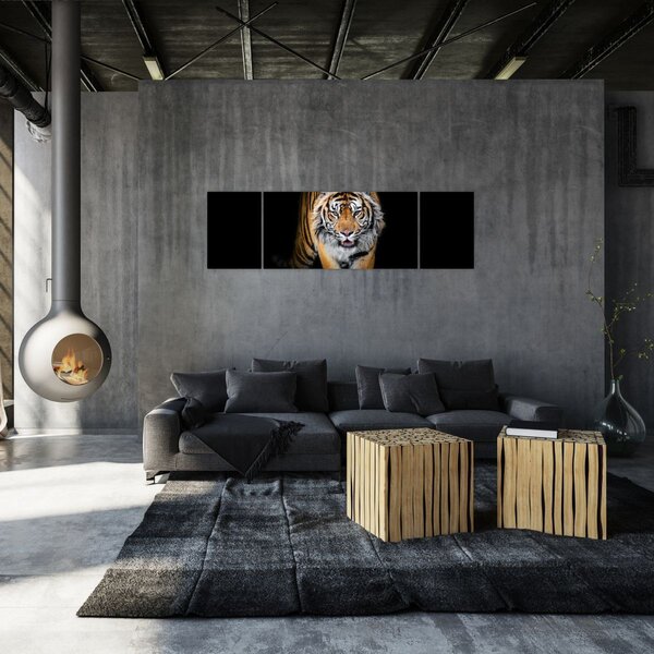 Obraz - Tygr (170x50 cm)