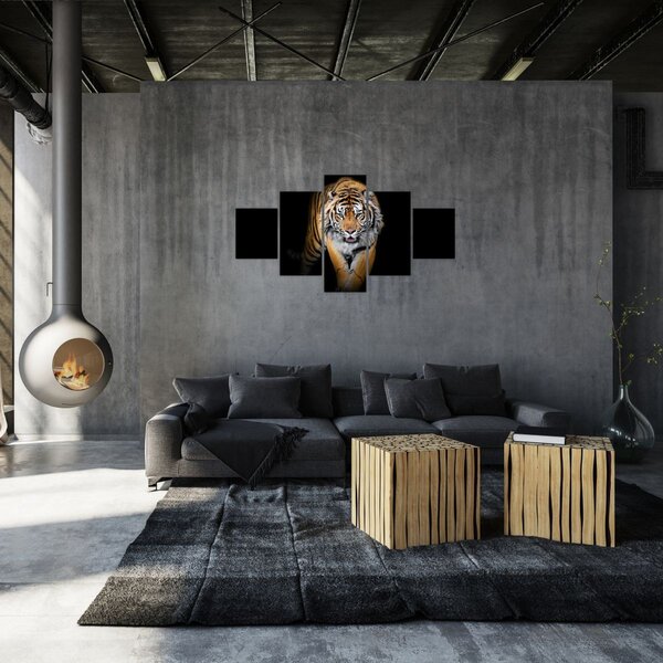 Obraz - Tygr (125x70 cm)