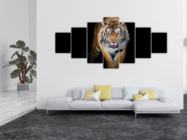 Obraz - Tygr (210x100 cm)