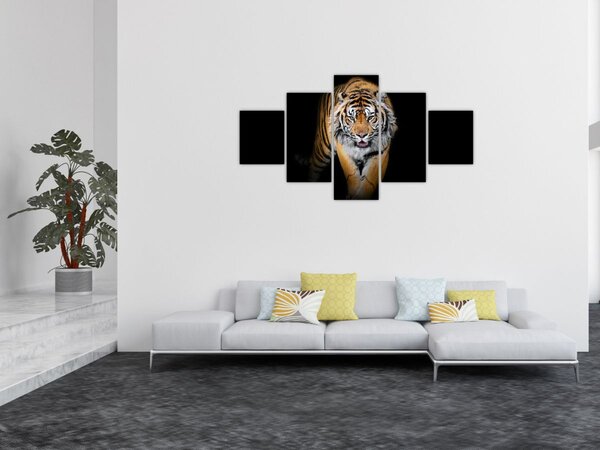 Obraz - Tygr (125x70 cm)