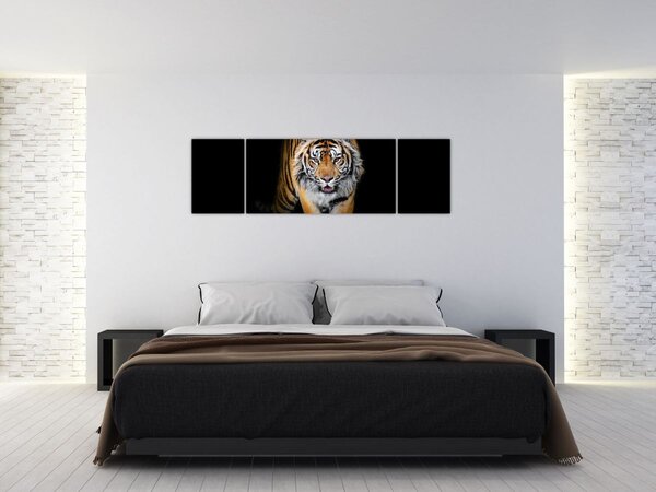 Obraz - Tygr (170x50 cm)