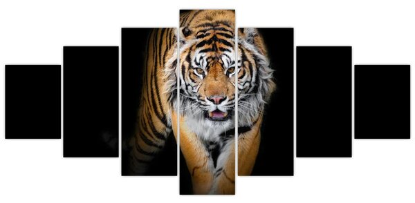 Obraz - Tygr (210x100 cm)