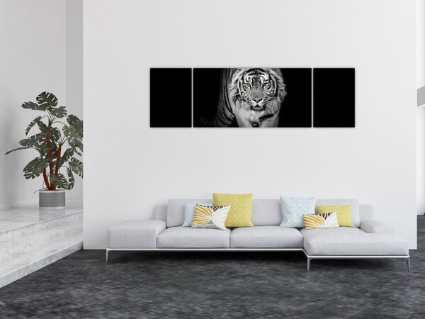 Obraz - Tygr se žlutýma očima (170x50 cm)