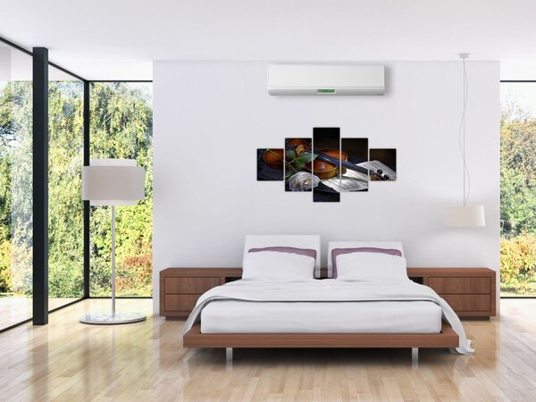 Obraz - Růže a housle (125x70 cm)