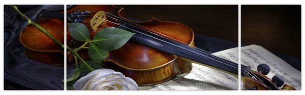 Obraz - Růže a housle (170x50 cm)