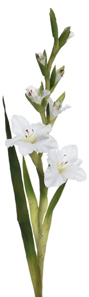 Umělá květina Gladiola / Mečík 96 cm, bílá UNI1001