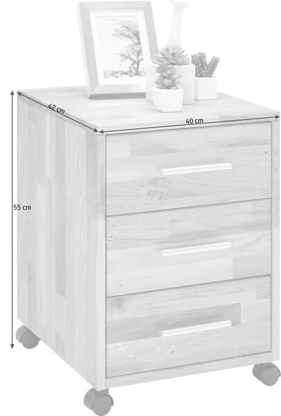 POJÍZDNÝ KONTEJNER, 40/56,7/42 cm Linea Natura