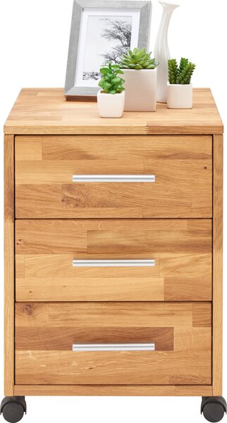 POJÍZDNÝ KONTEJNER, 40/56,7/42 cm Linea Natura