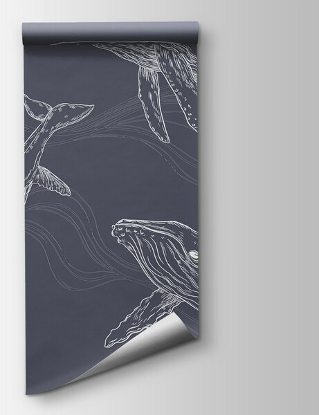 Fototapeta Skupina velryb plovoucích, Designové fototapety na zeď, Populární fototapety, u99733v1 - Tapeko.co.cz