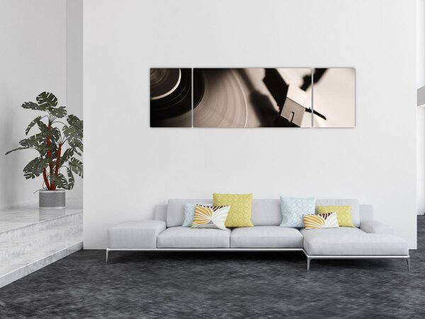Obraz - Gramofonová deska (170x50 cm)