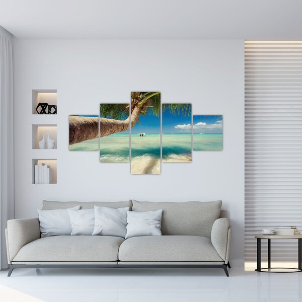 Obraz - Čisté moře s palmou (125x70 cm)