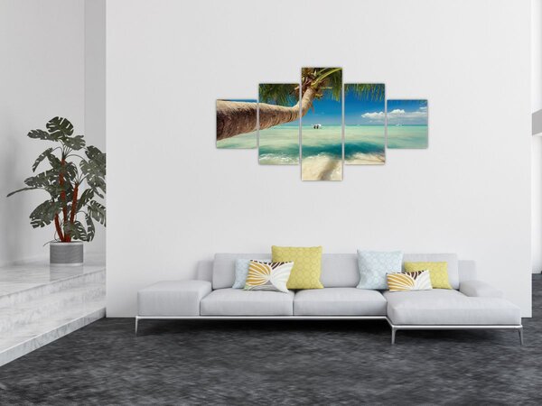 Obraz - Čisté moře s palmou (125x70 cm)