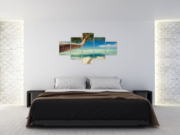 Obraz - Čisté moře s palmou (125x70 cm)