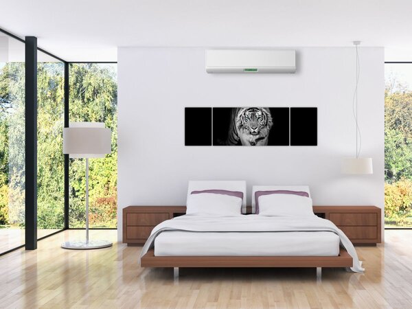 Obraz - Tygr s modrýma očima (170x50 cm)