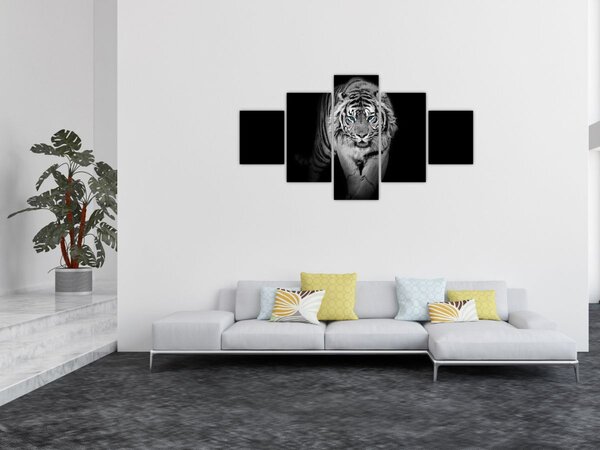 Obraz - Tygr s modrýma očima (125x70 cm)