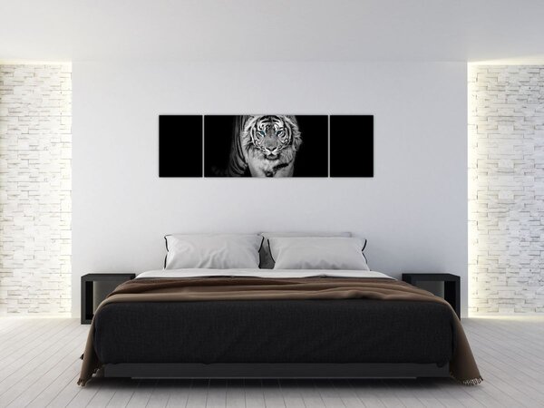 Obraz - Tygr s modrýma očima (170x50 cm)