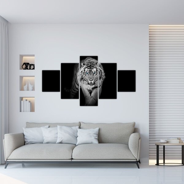 Obraz - Tygr s modrýma očima (125x70 cm)
