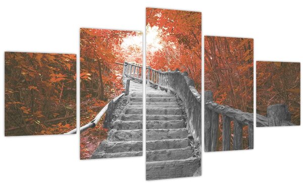 Obraz - Schody v přírodě, oranžová (125x70 cm)