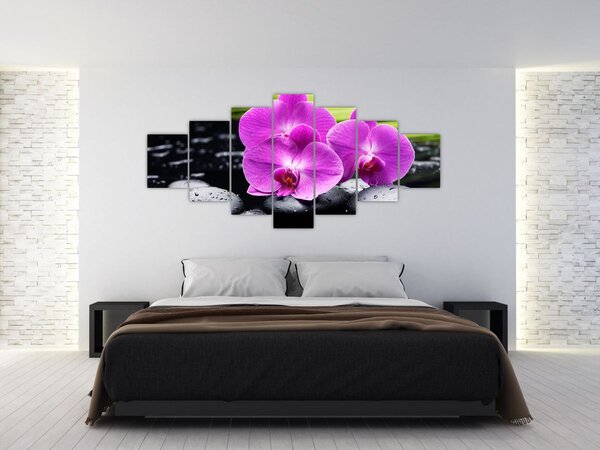 Obraz - Orchideje (210x100 cm)