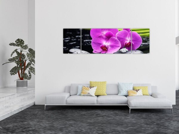 Obraz - Orchideje (170x50 cm)