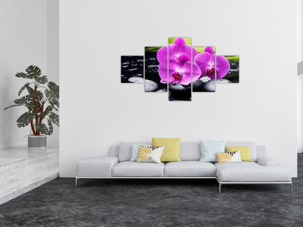 Obraz - Orchideje (125x70 cm)