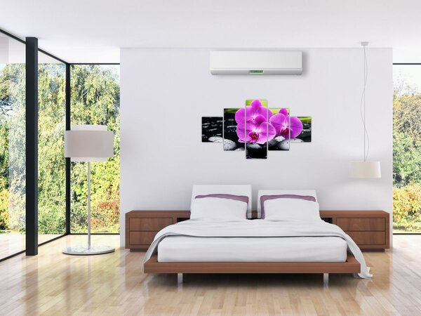 Obraz - Orchideje (125x70 cm)