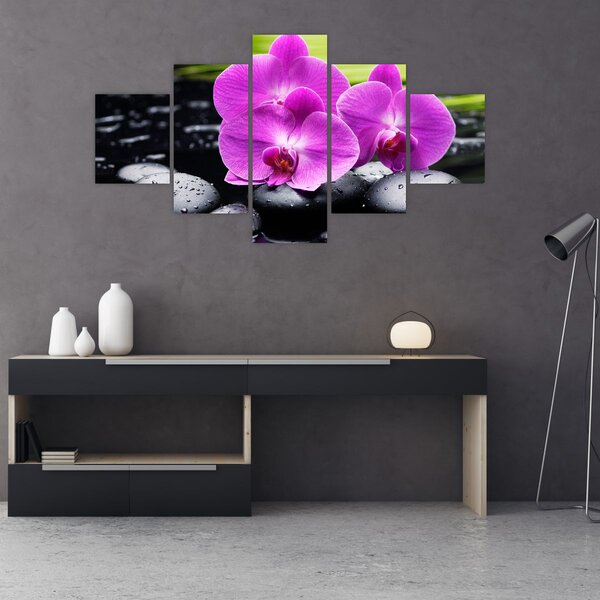 Obraz - Orchideje (125x70 cm)