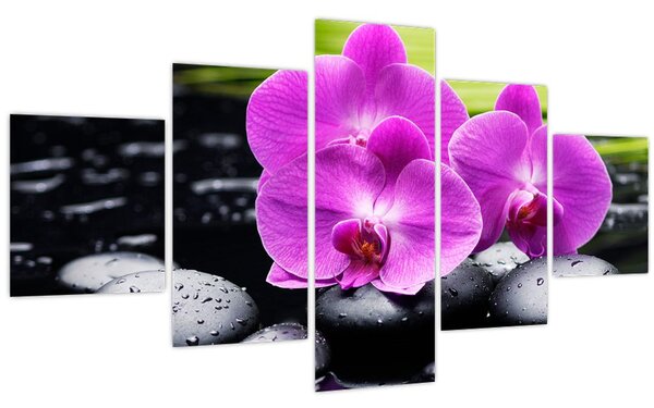Obraz - Orchideje (125x70 cm)