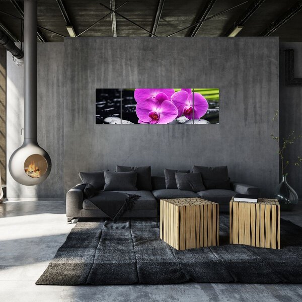 Obraz - Orchideje (170x50 cm)