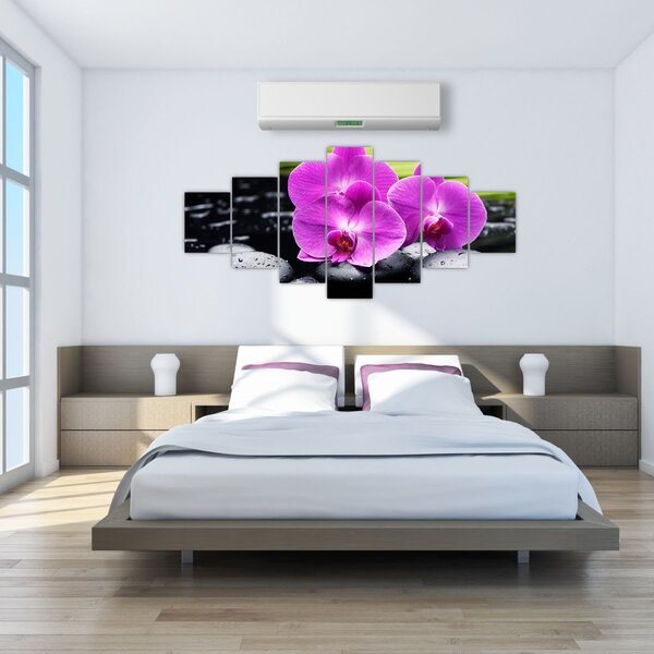 Obraz - Orchideje (210x100 cm)