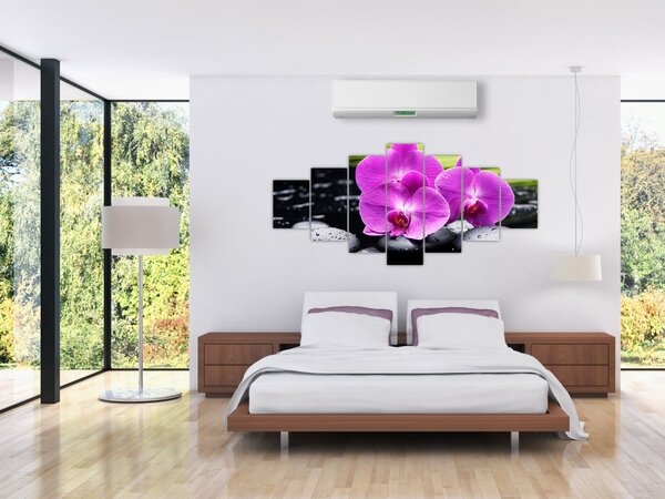 Obraz - Orchideje (210x100 cm)