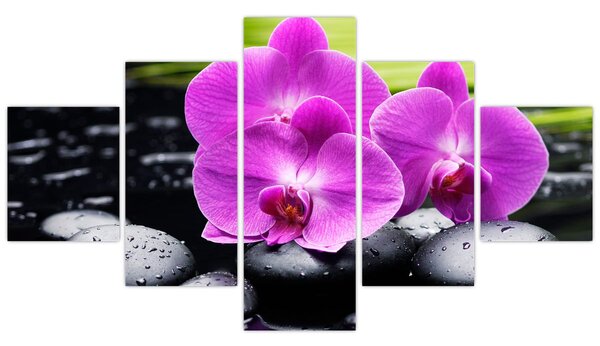 Obraz - Orchideje (125x70 cm)