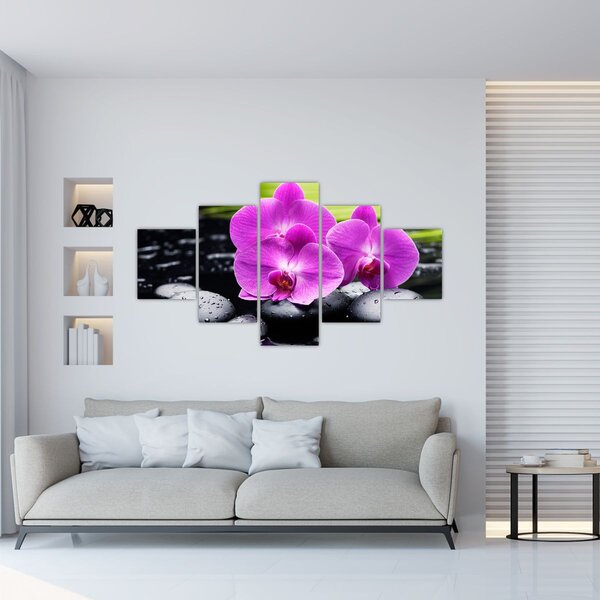 Obraz - Orchideje (125x70 cm)