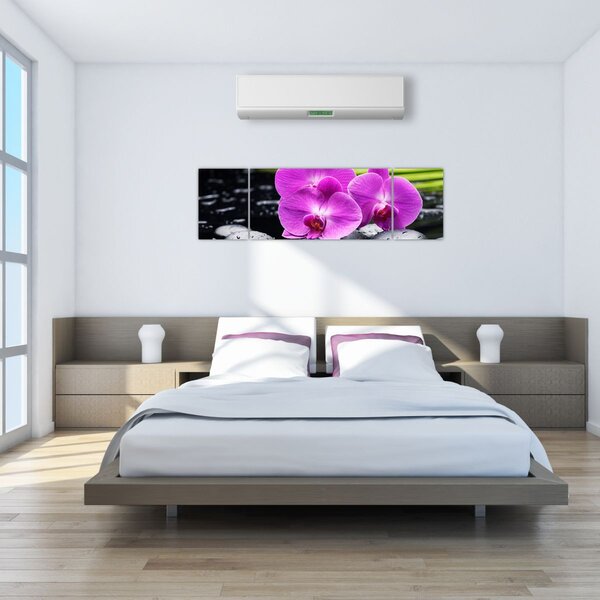 Obraz - Orchideje (170x50 cm)
