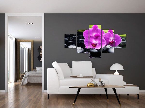 Obraz - Orchideje (125x70 cm)