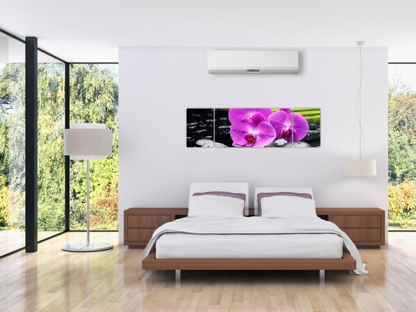 Obraz - Orchideje (170x50 cm)