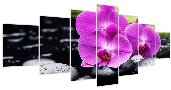 Obraz - Orchideje (210x100 cm)