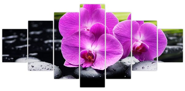 Obraz - Orchideje (210x100 cm)