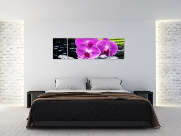 Obraz - Orchideje (170x50 cm)