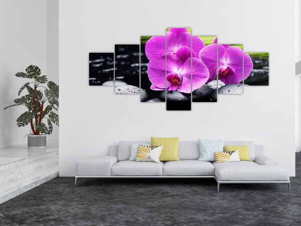 Obraz - Orchideje (210x100 cm)