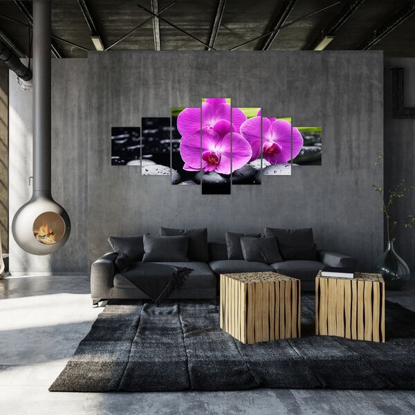 Obraz - Orchideje (210x100 cm)