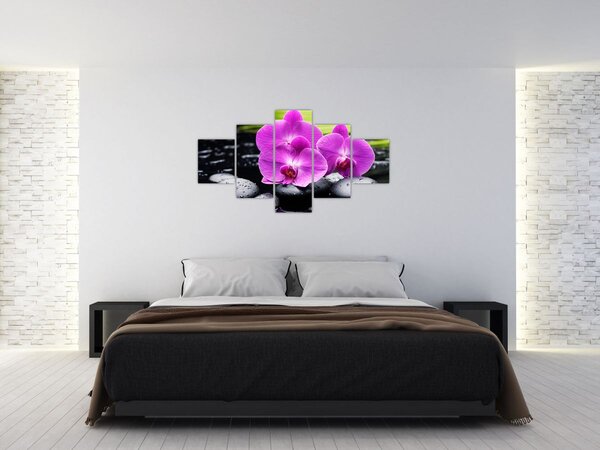Obraz - Orchideje (125x70 cm)