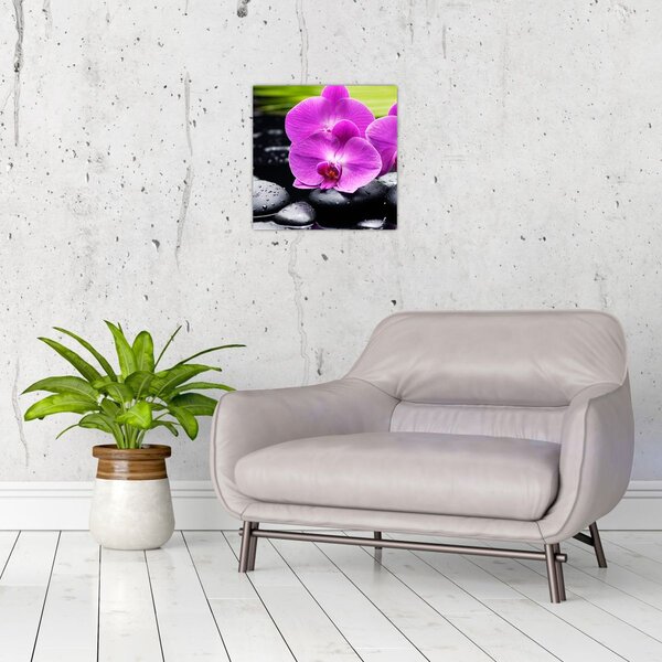 Obraz - Orchideje (30x30 cm)