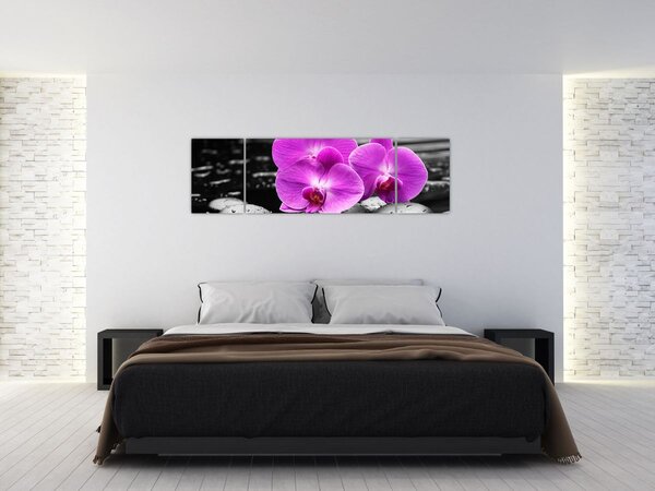 Obraz - Fialové orchideje (170x50 cm)