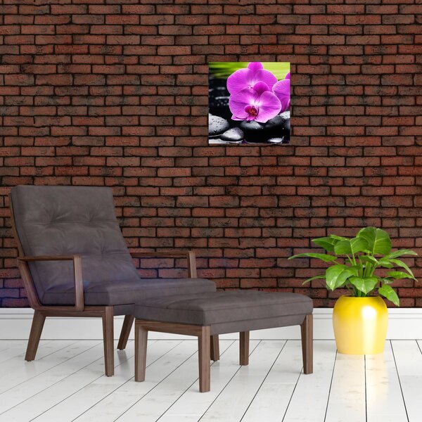 Obraz - Orchideje (30x30 cm)