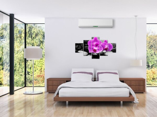Obraz - Fialové orchideje (125x70 cm)