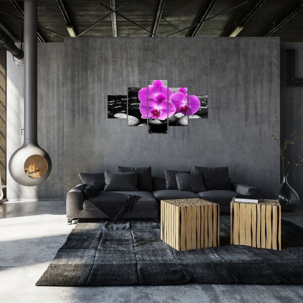 Obraz - Fialové orchideje (125x70 cm)