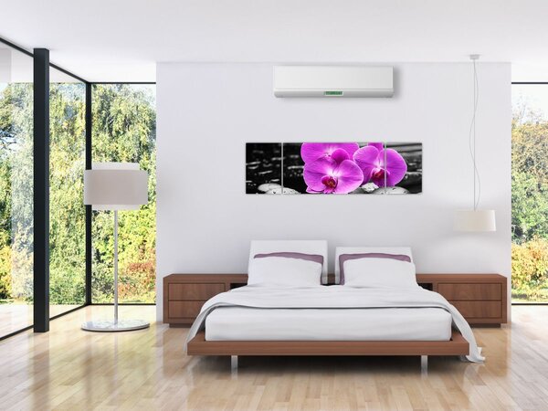 Obraz - Fialové orchideje (170x50 cm)
