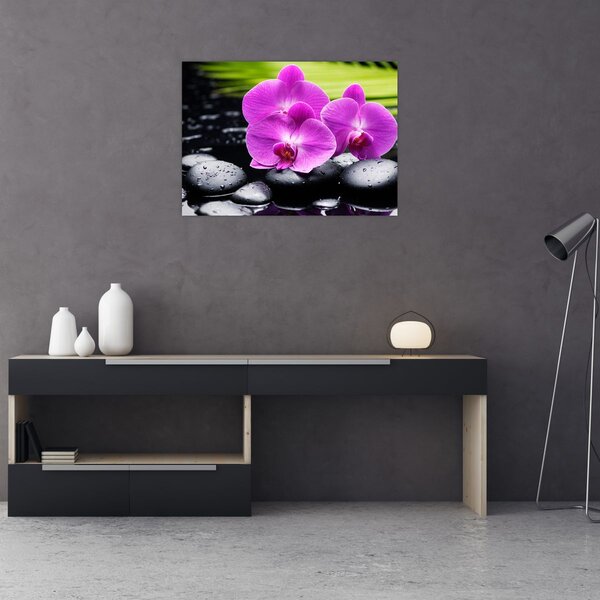 Obraz - Orchideje (70x50 cm)